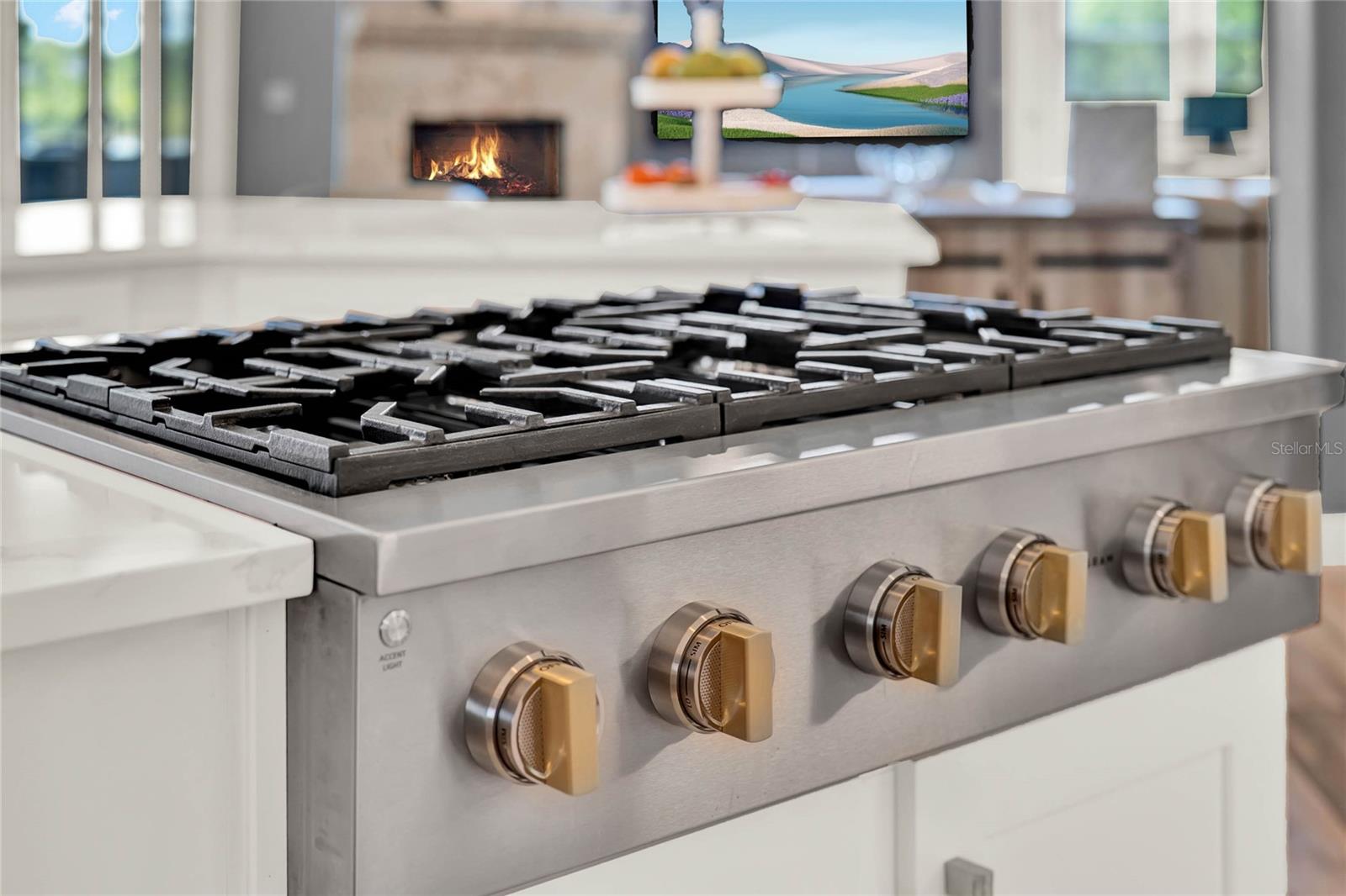 13112 LUNTZ POINT LN, WINDERMERE, FL, 34786