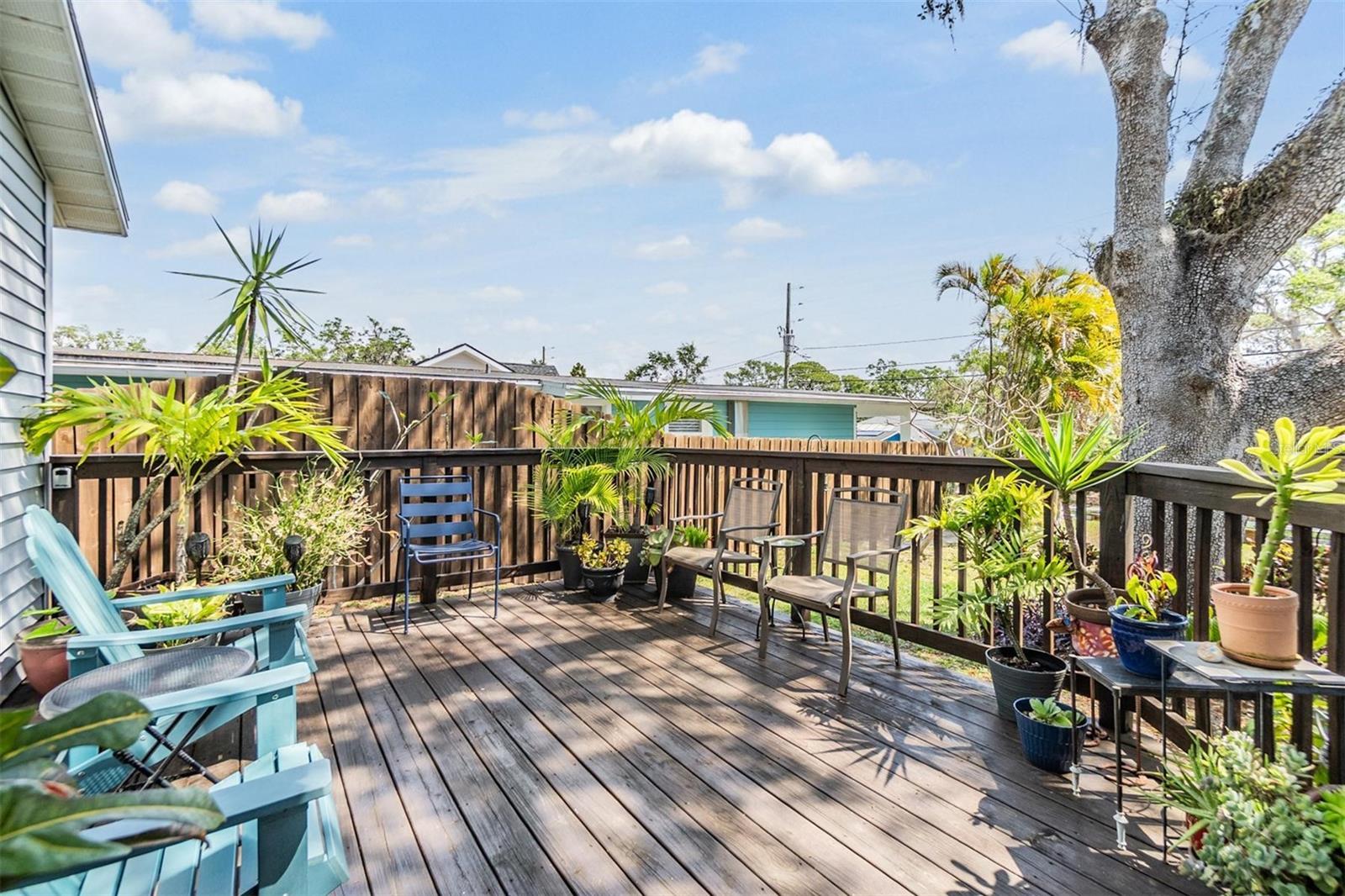201 11TH AVE S, SAFETY HARBOR, FL, 34695