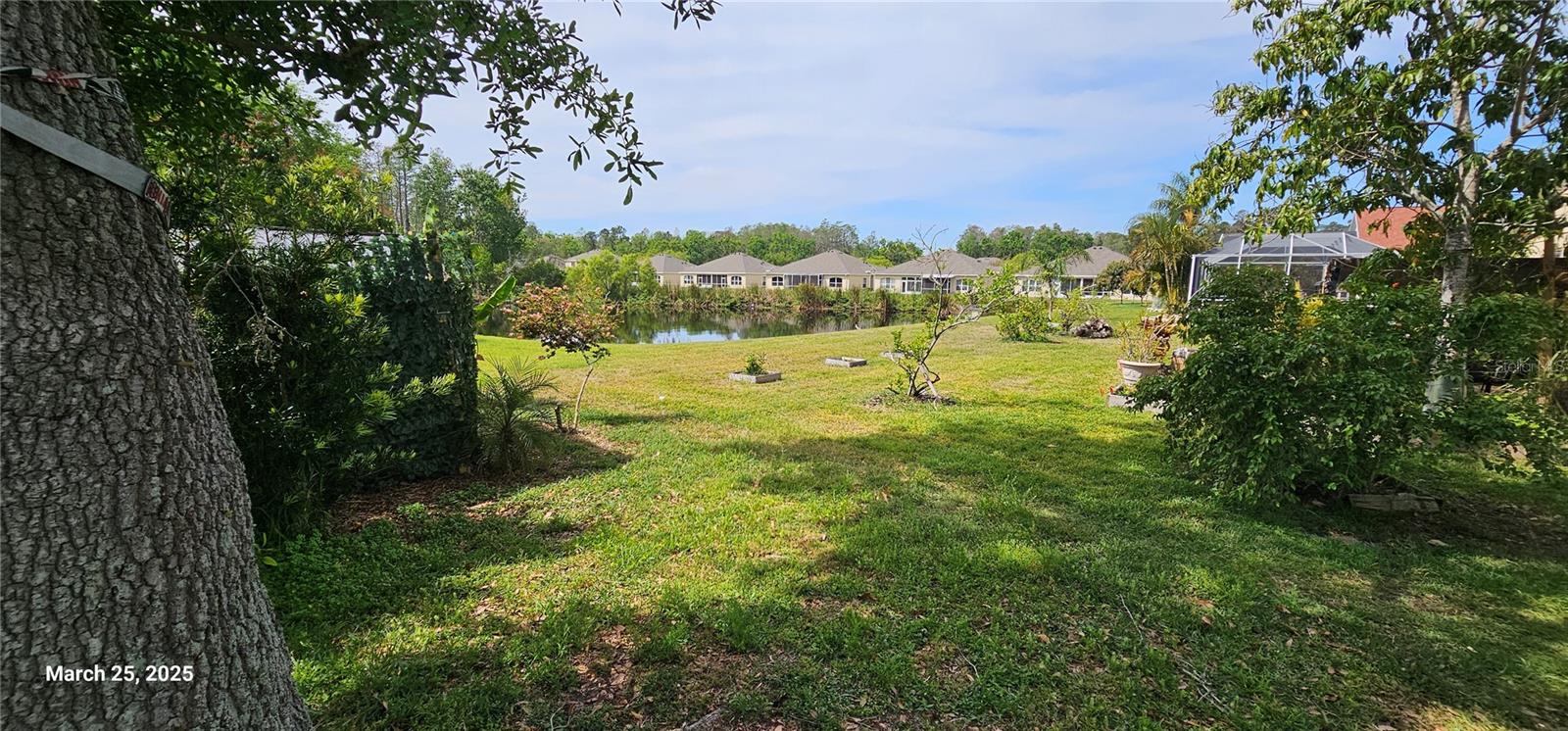 2631 MAYLIN DR, TRINITY, FL, 34655