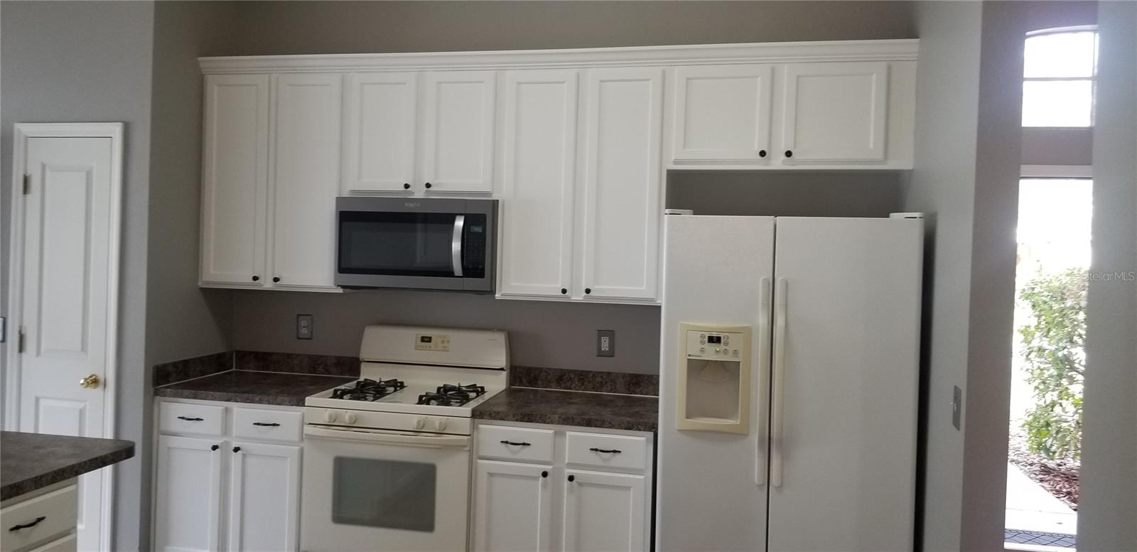 2631 MAYLIN DR, TRINITY, FL, 34655