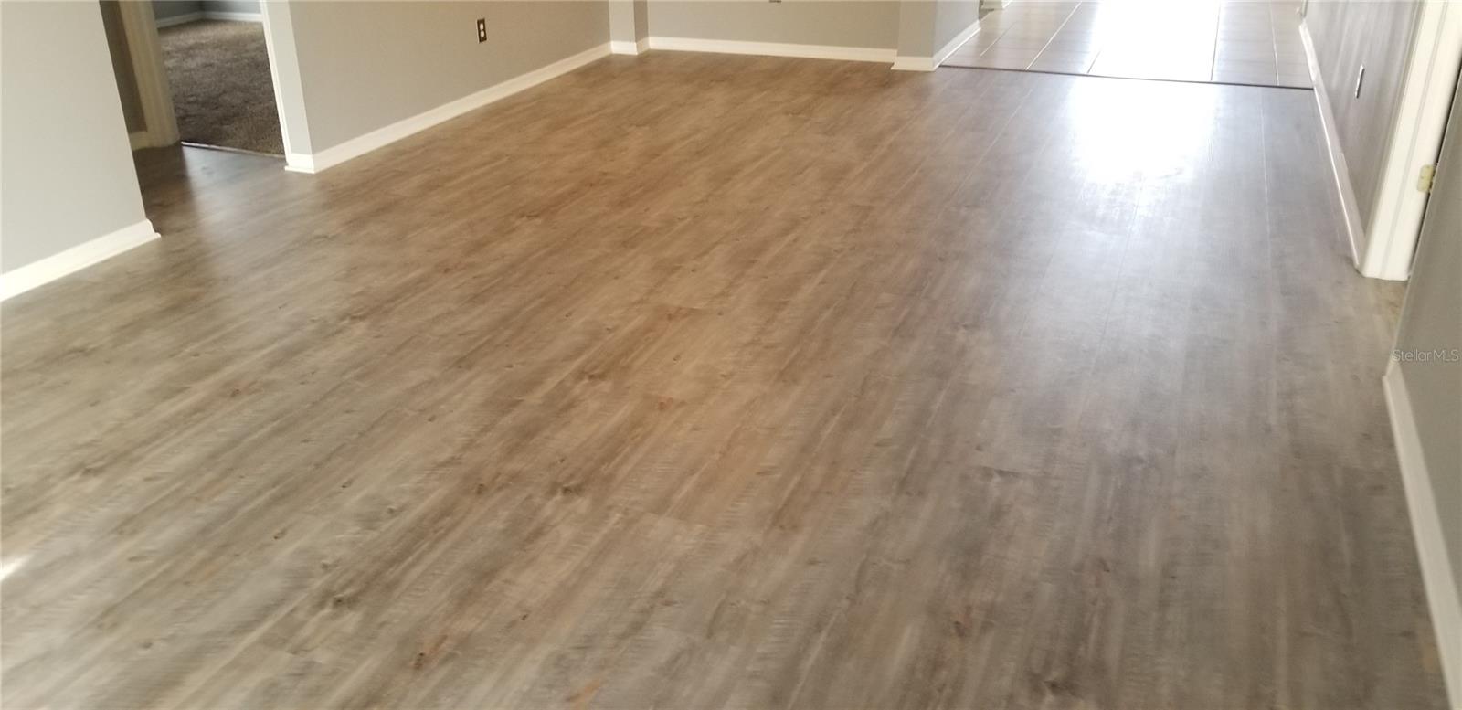 2631 MAYLIN DR, TRINITY, FL, 34655