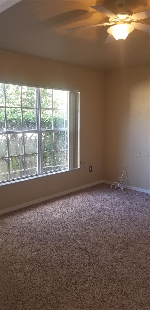 2631 MAYLIN DR, TRINITY, FL, 34655