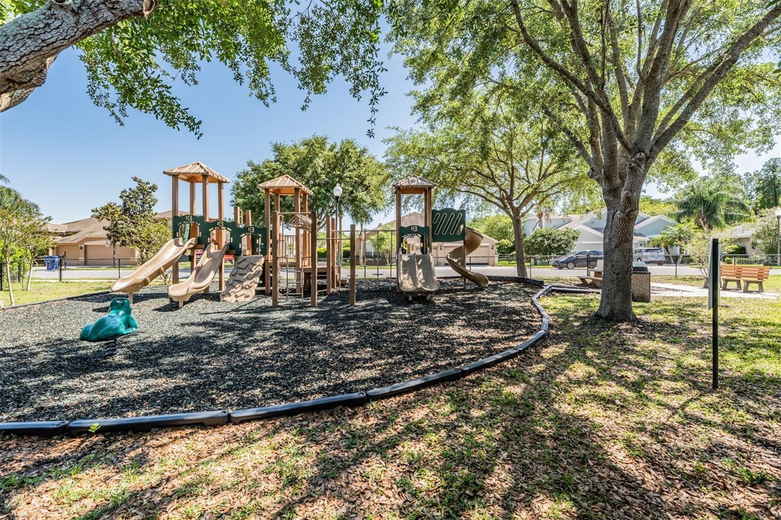 2631 MAYLIN DR, TRINITY, FL, 34655