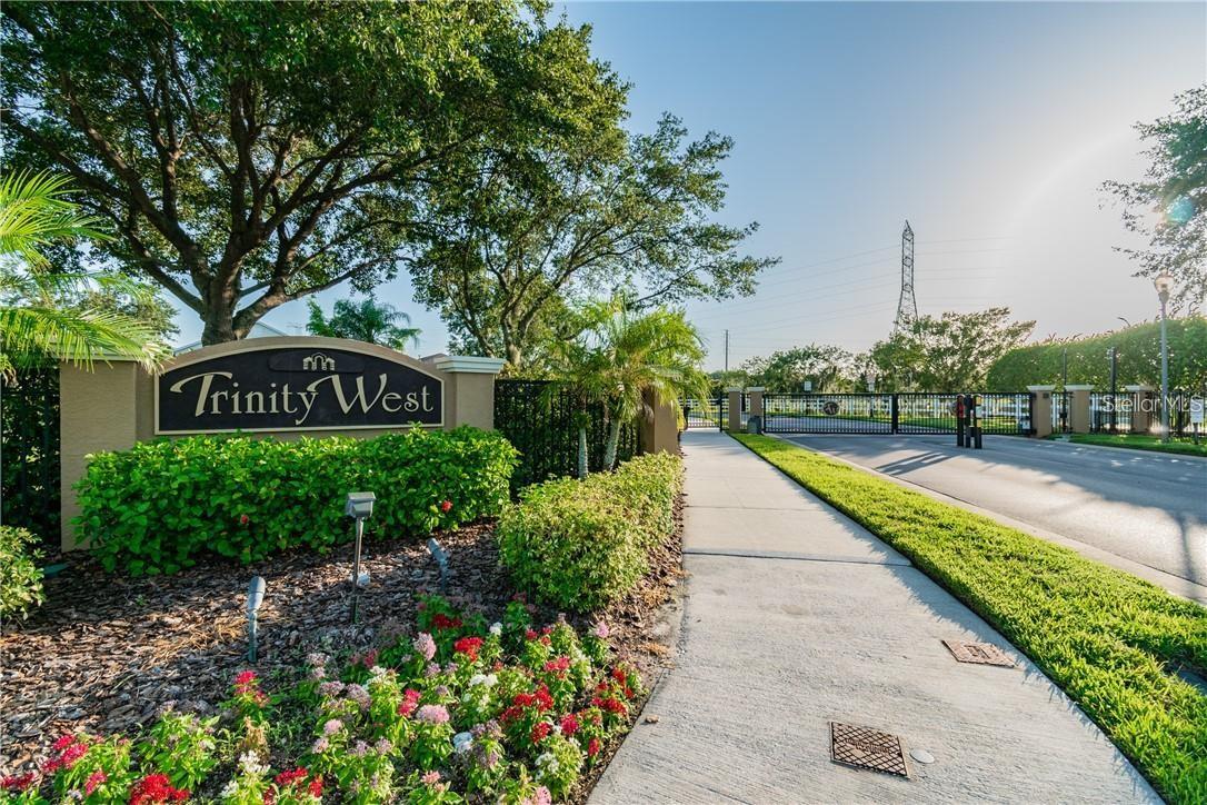 2631 MAYLIN DR, TRINITY, FL, 34655