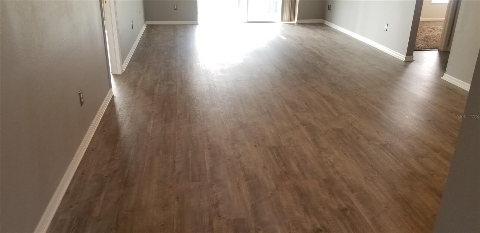 2631 MAYLIN DR, TRINITY, FL, 34655