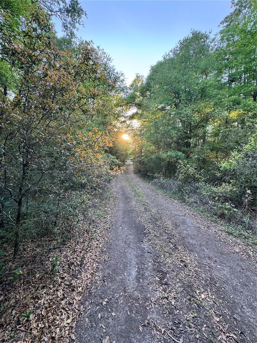 TBD SW 21ST. ST, OCALA, FL, 34481