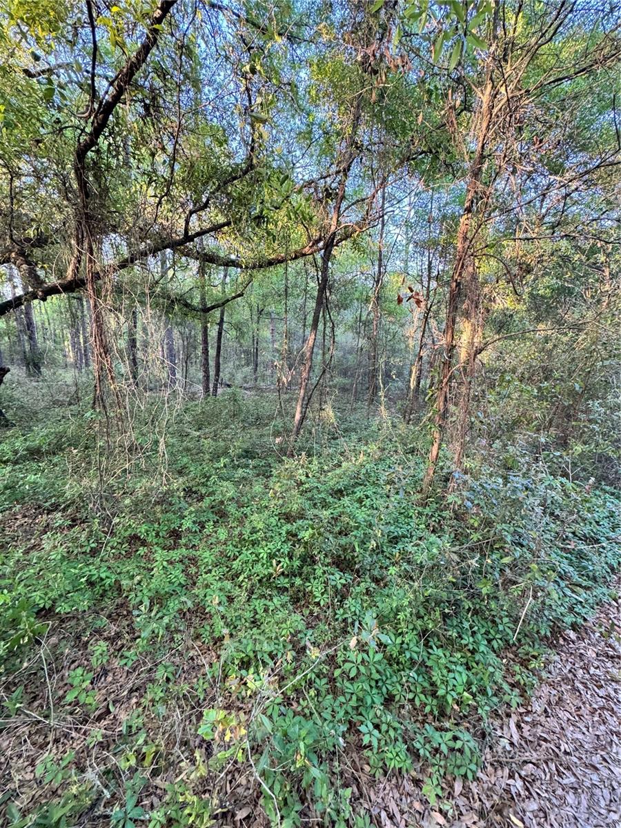 TBD SW 21ST. ST, OCALA, FL, 34481