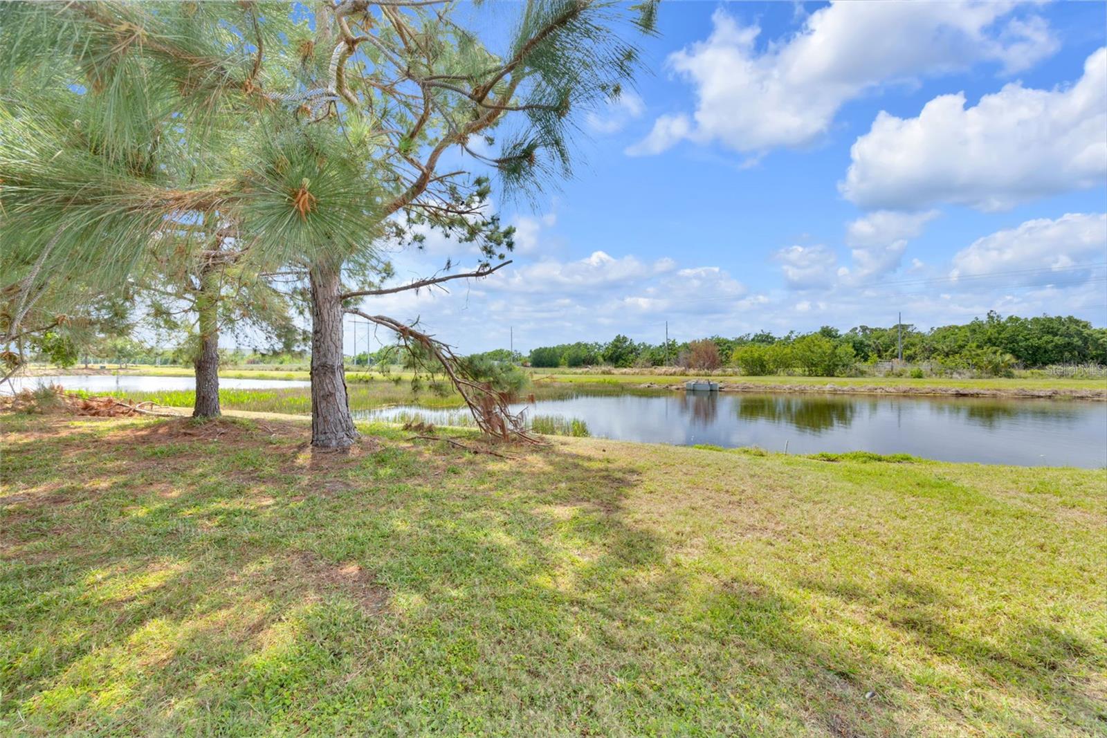 6518 SALT CREEK AVE, APOLLO BEACH, FL, 33572