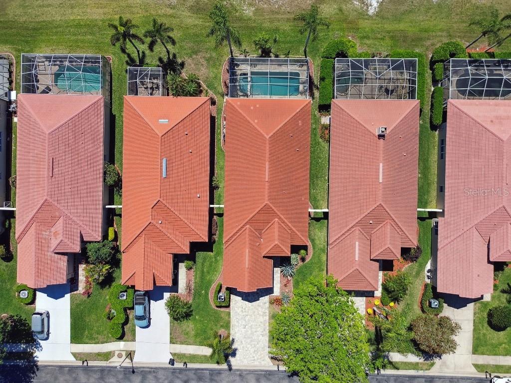 1266 DARTFORD DR, TARPON SPRINGS, FL, 34688