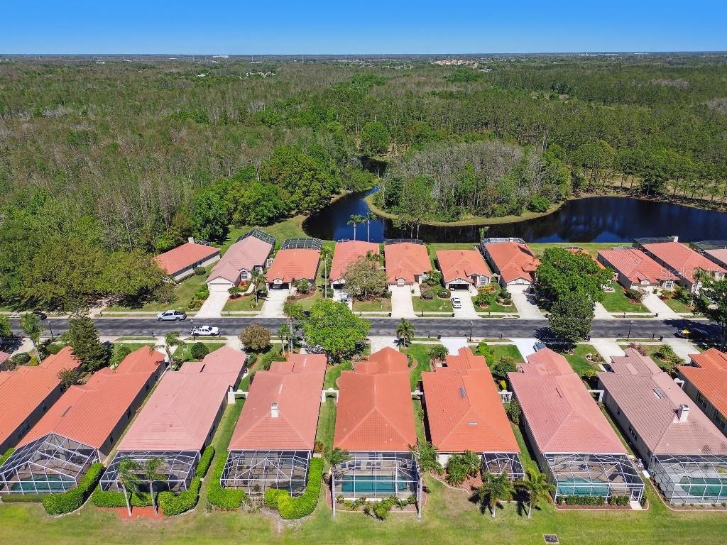 1266 DARTFORD DR, TARPON SPRINGS, FL, 34688