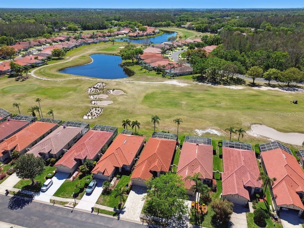 1266 DARTFORD DR, TARPON SPRINGS, FL, 34688