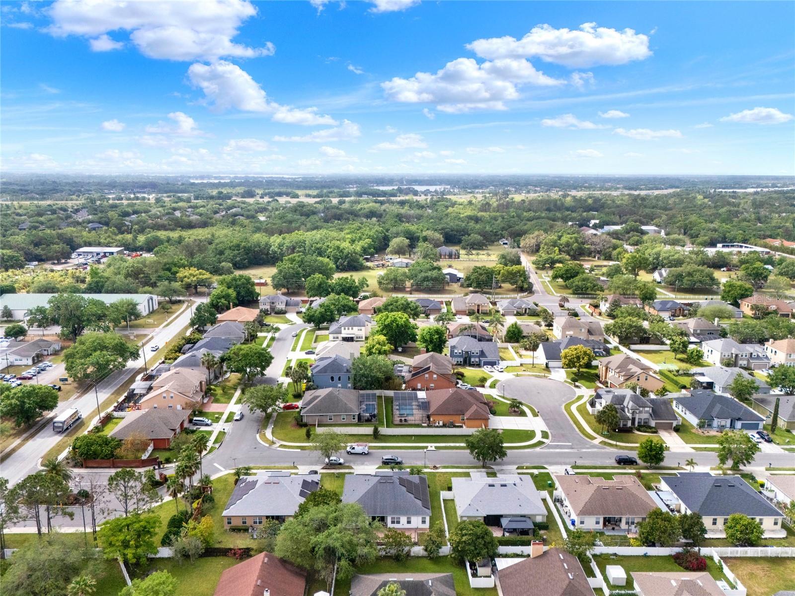 309 LAKE AMBERLEIGH DR, WINTER GARDEN, FL, 34787