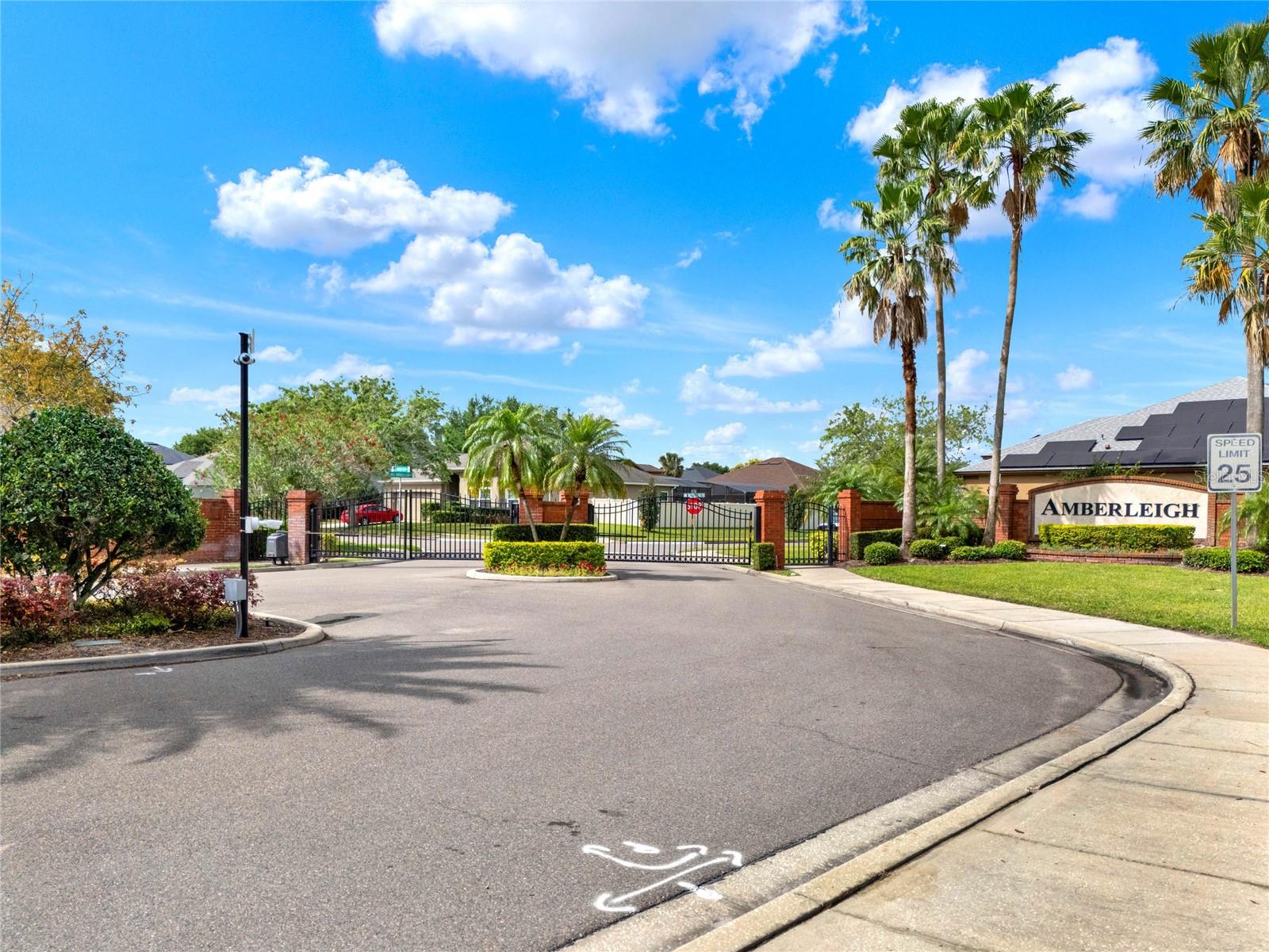 309 LAKE AMBERLEIGH DR, WINTER GARDEN, FL, 34787