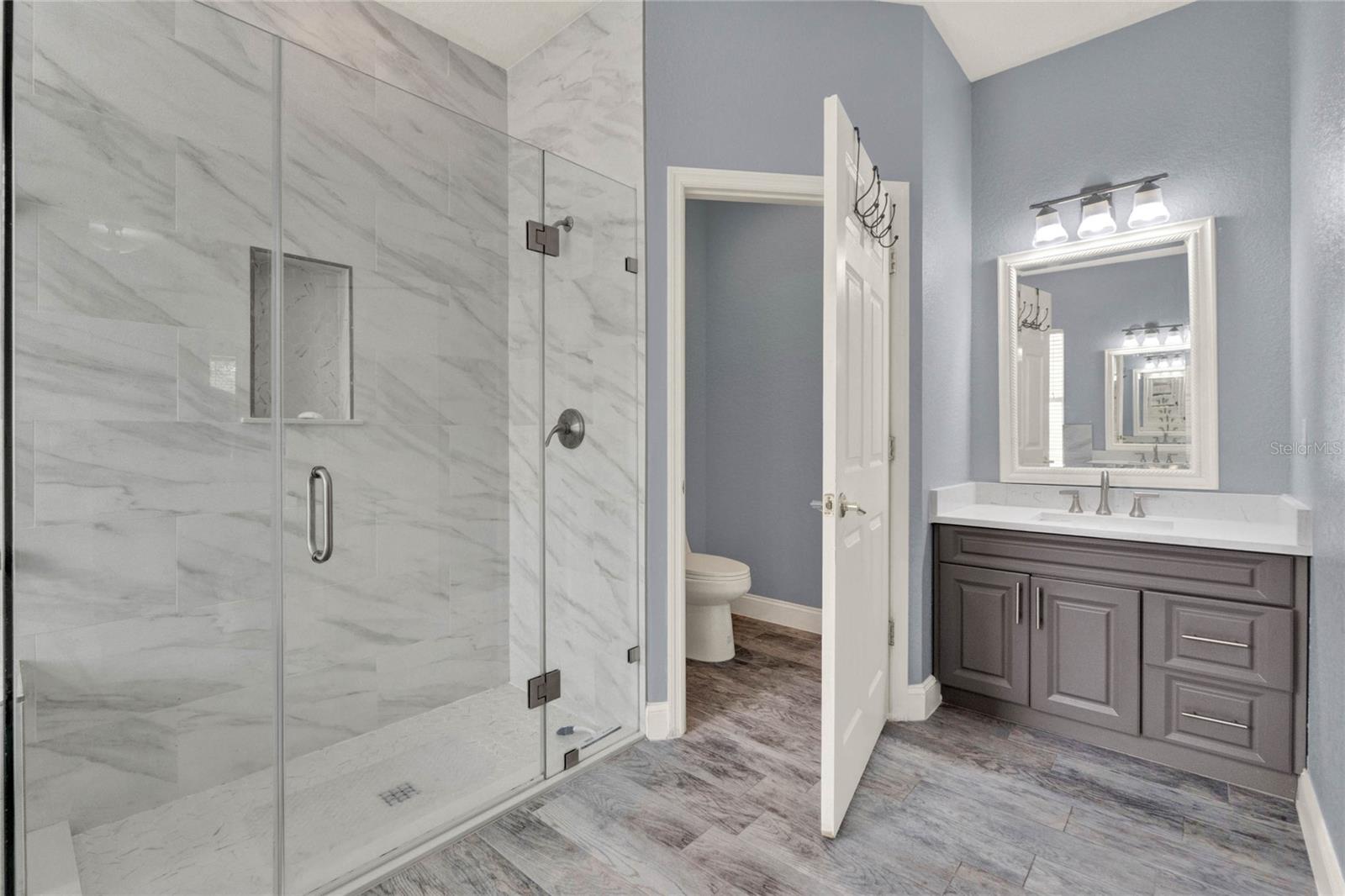 309 LAKE AMBERLEIGH DR, WINTER GARDEN, FL, 34787