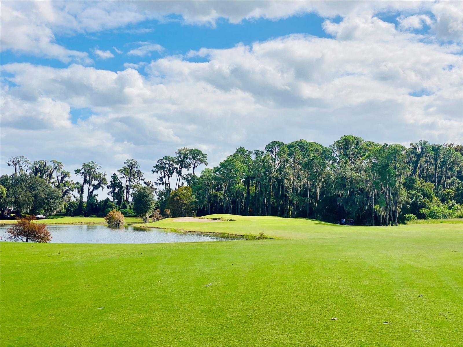 30505 ISLAND CLUB DR., DEER ISLAND, FL, 32778