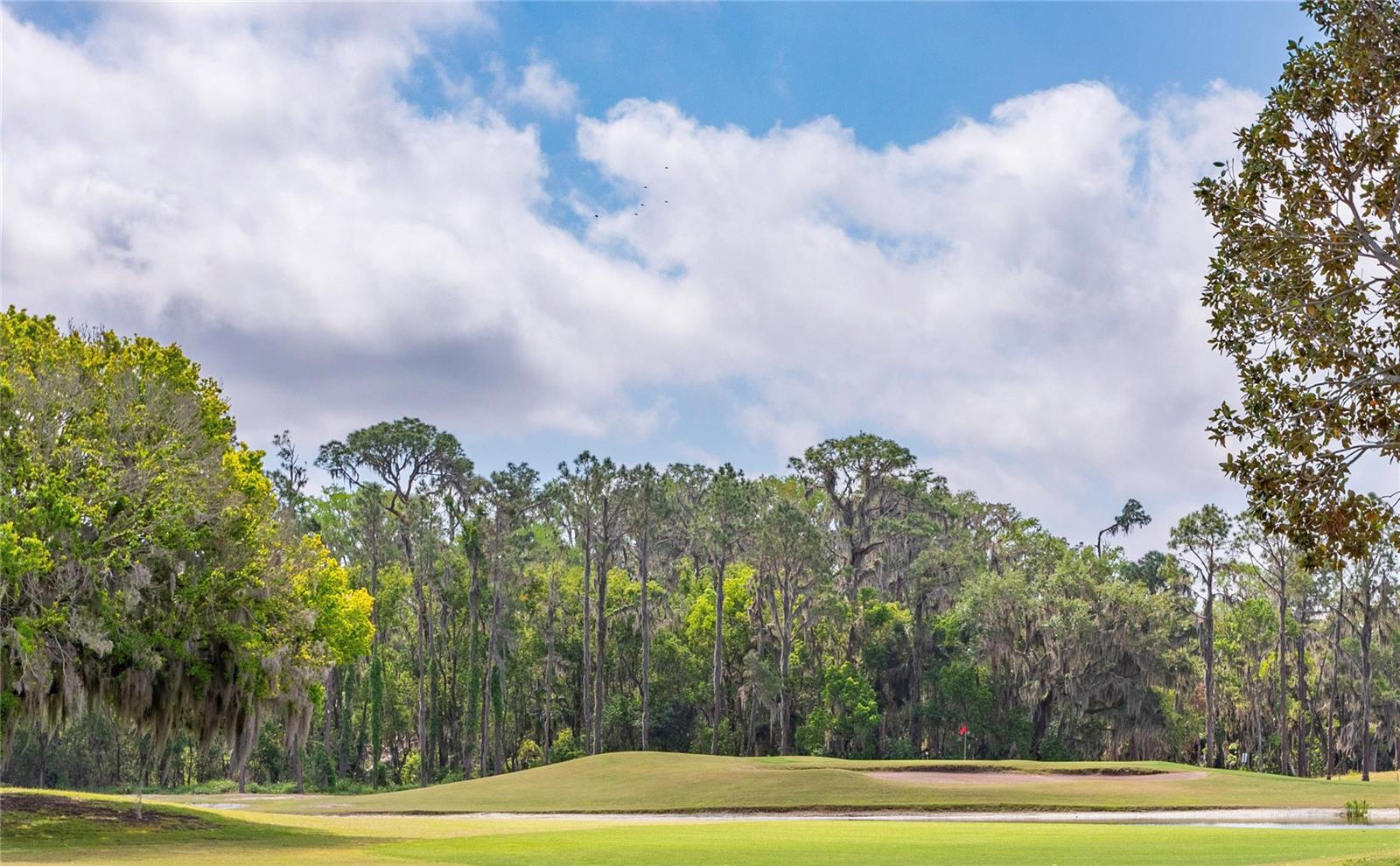 30505 ISLAND CLUB DR., DEER ISLAND, FL, 32778