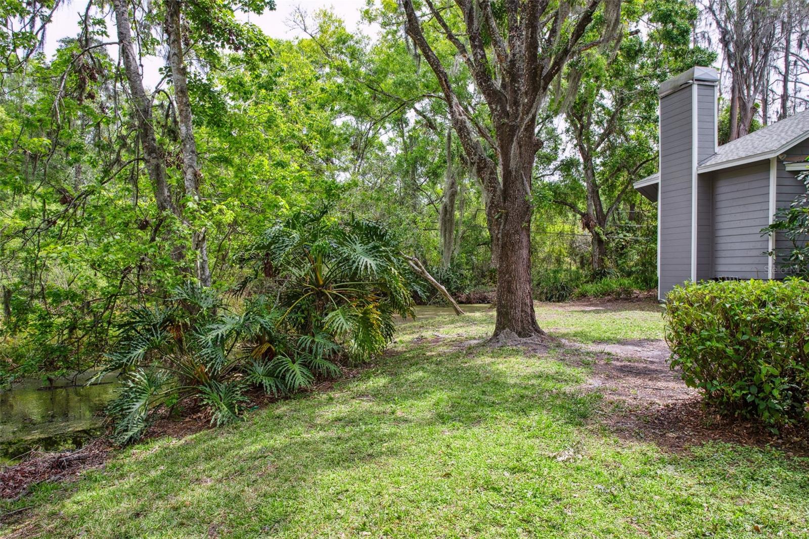 13949 FRIENDSHIP LN, ODESSA, FL, 33556