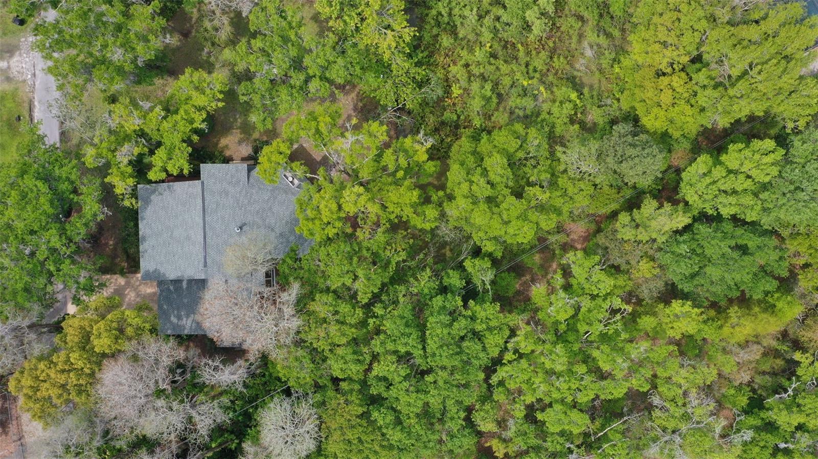 13949 FRIENDSHIP LN, ODESSA, FL, 33556