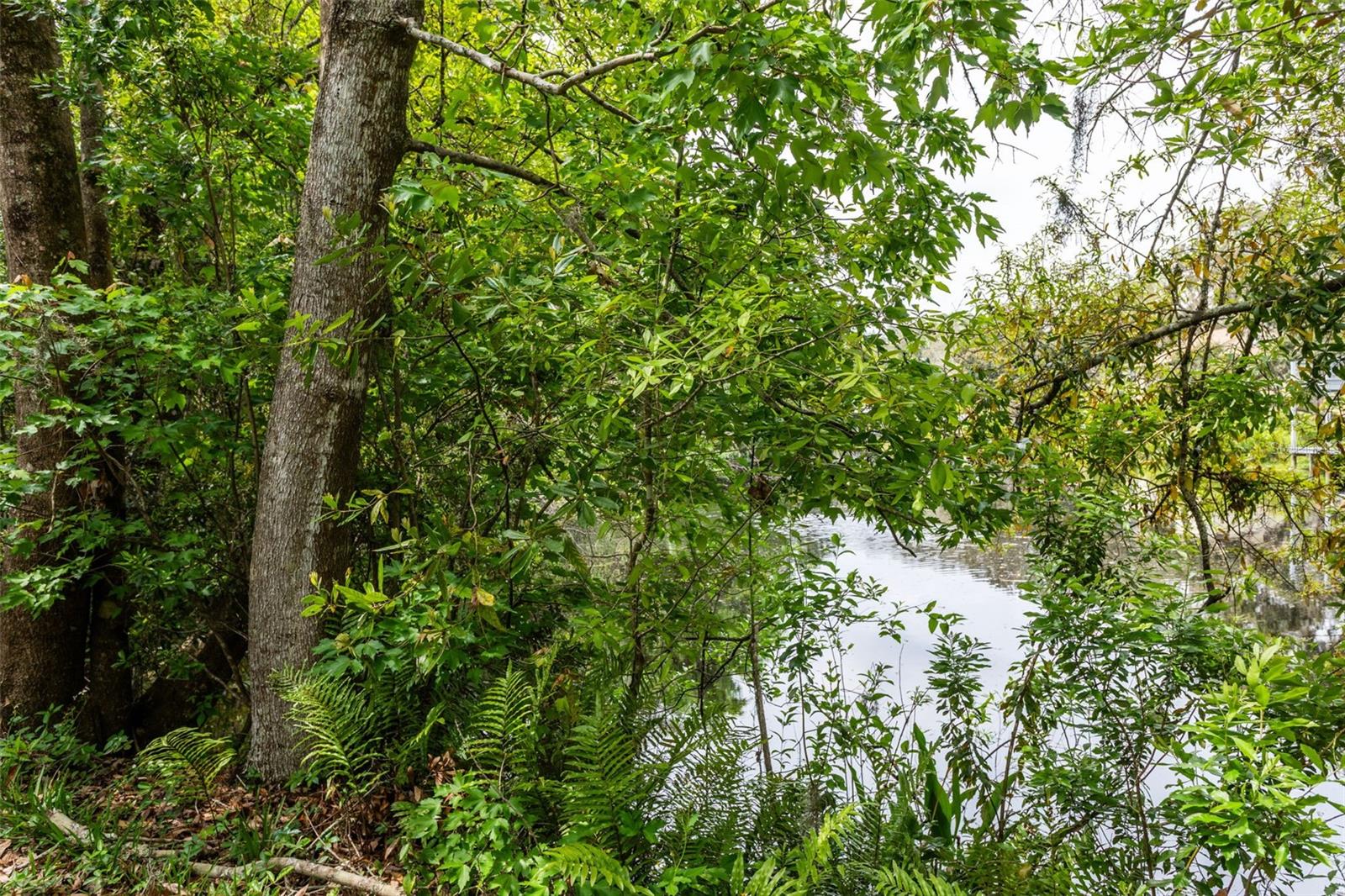 13949 FRIENDSHIP LN, ODESSA, FL, 33556