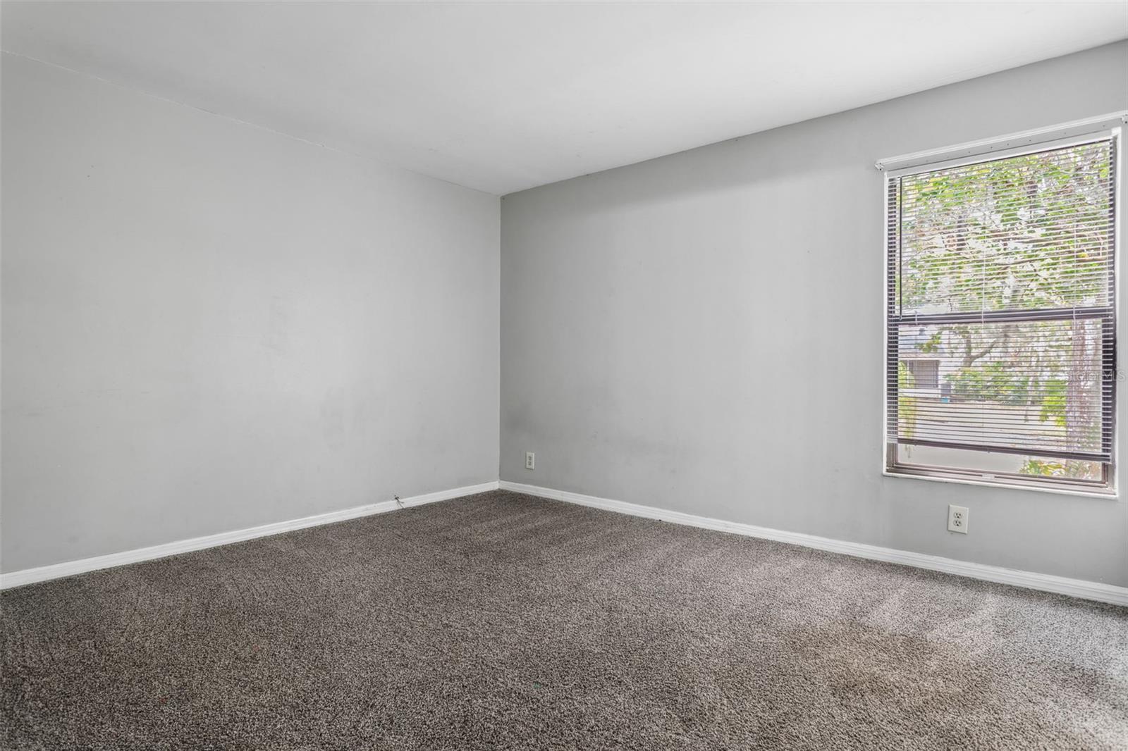 13949 FRIENDSHIP LN, ODESSA, FL, 33556