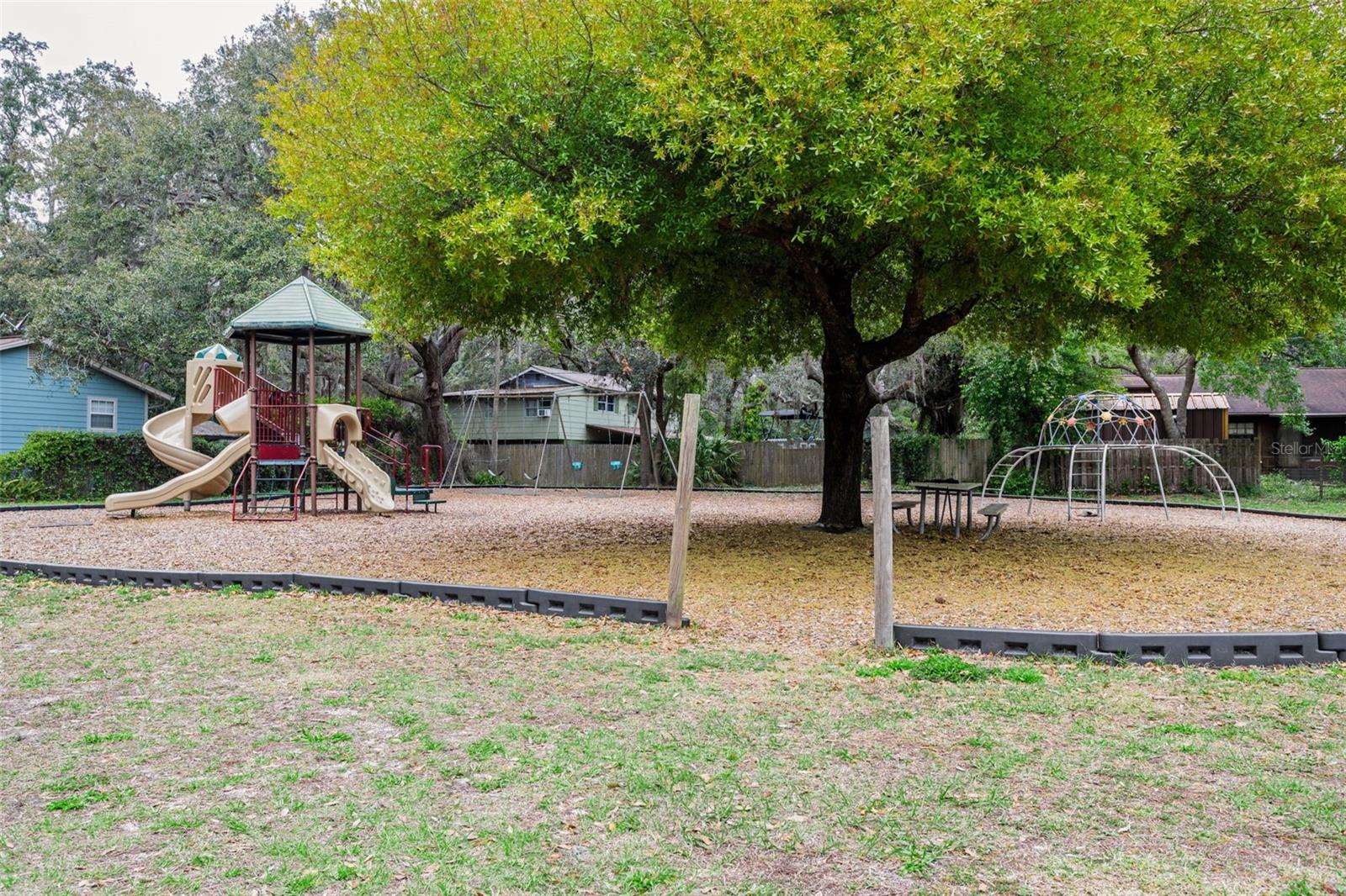 13949 FRIENDSHIP LN, ODESSA, FL, 33556