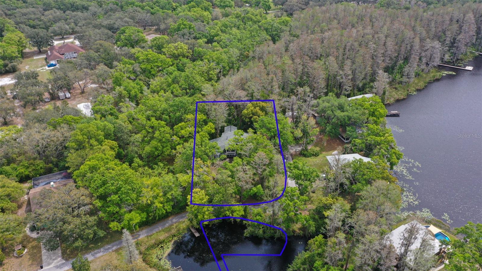 13949 FRIENDSHIP LN, ODESSA, FL, 33556