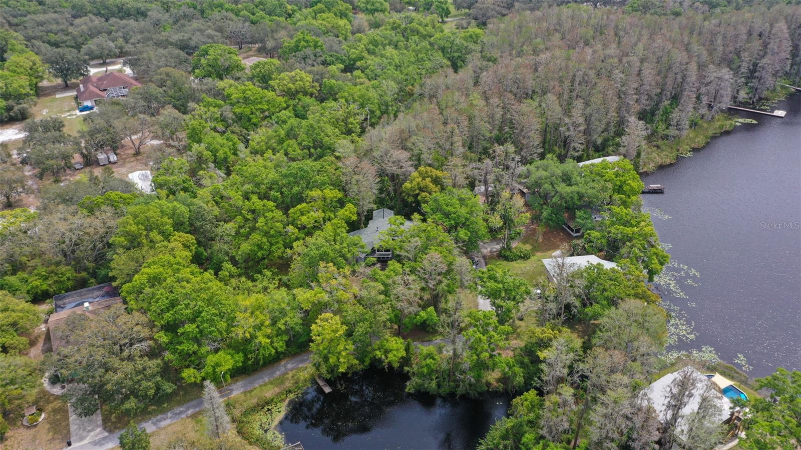 13949 FRIENDSHIP LN, ODESSA, FL, 33556