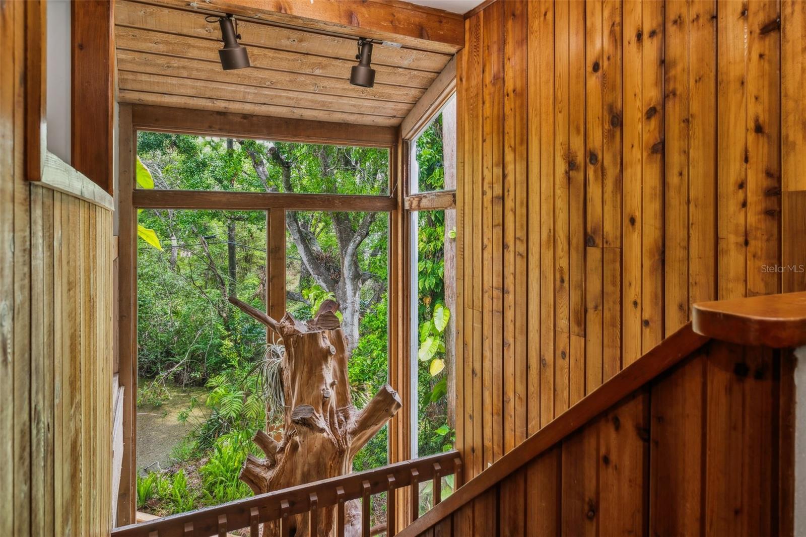 13949 FRIENDSHIP LN, ODESSA, FL, 33556