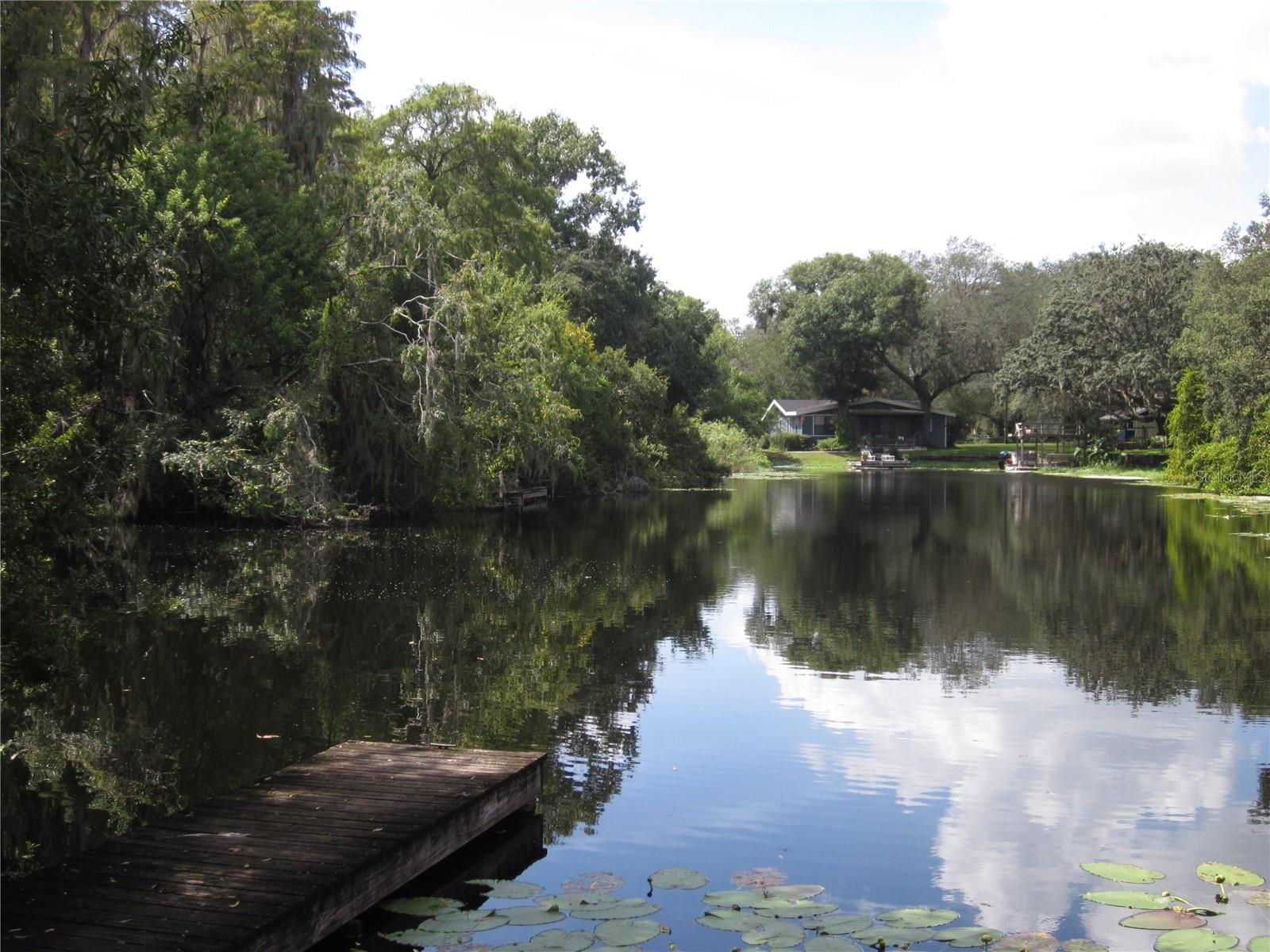 13949 FRIENDSHIP LN, ODESSA, FL, 33556