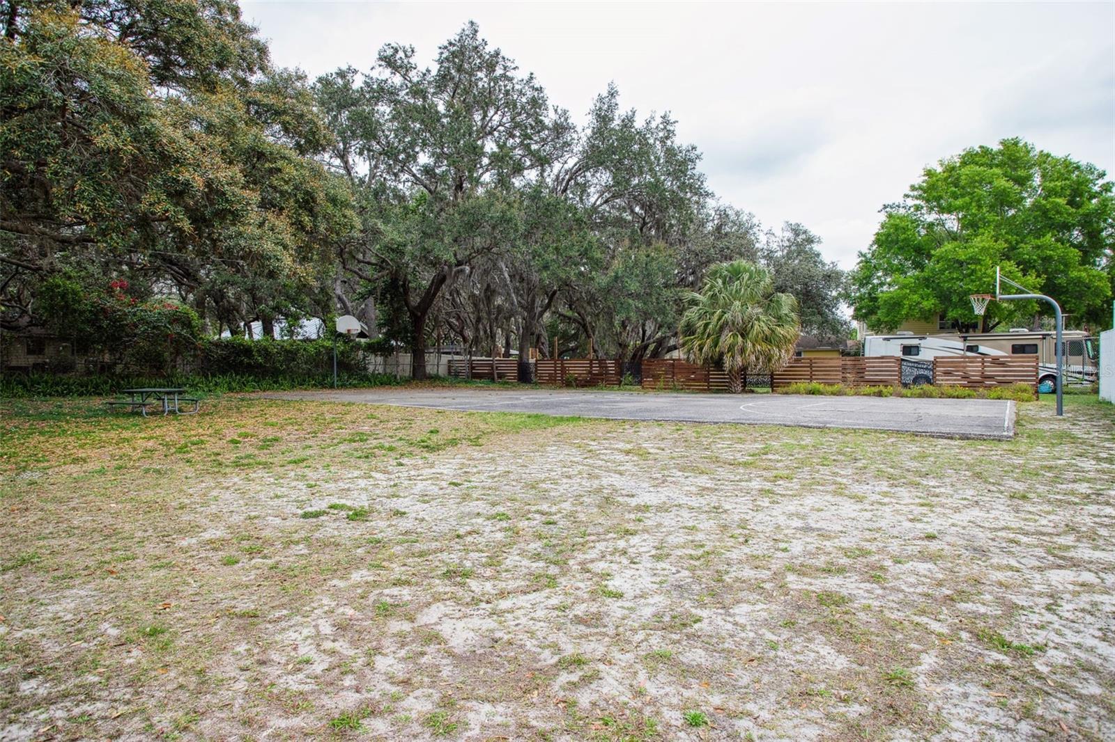 13949 FRIENDSHIP LN, ODESSA, FL, 33556