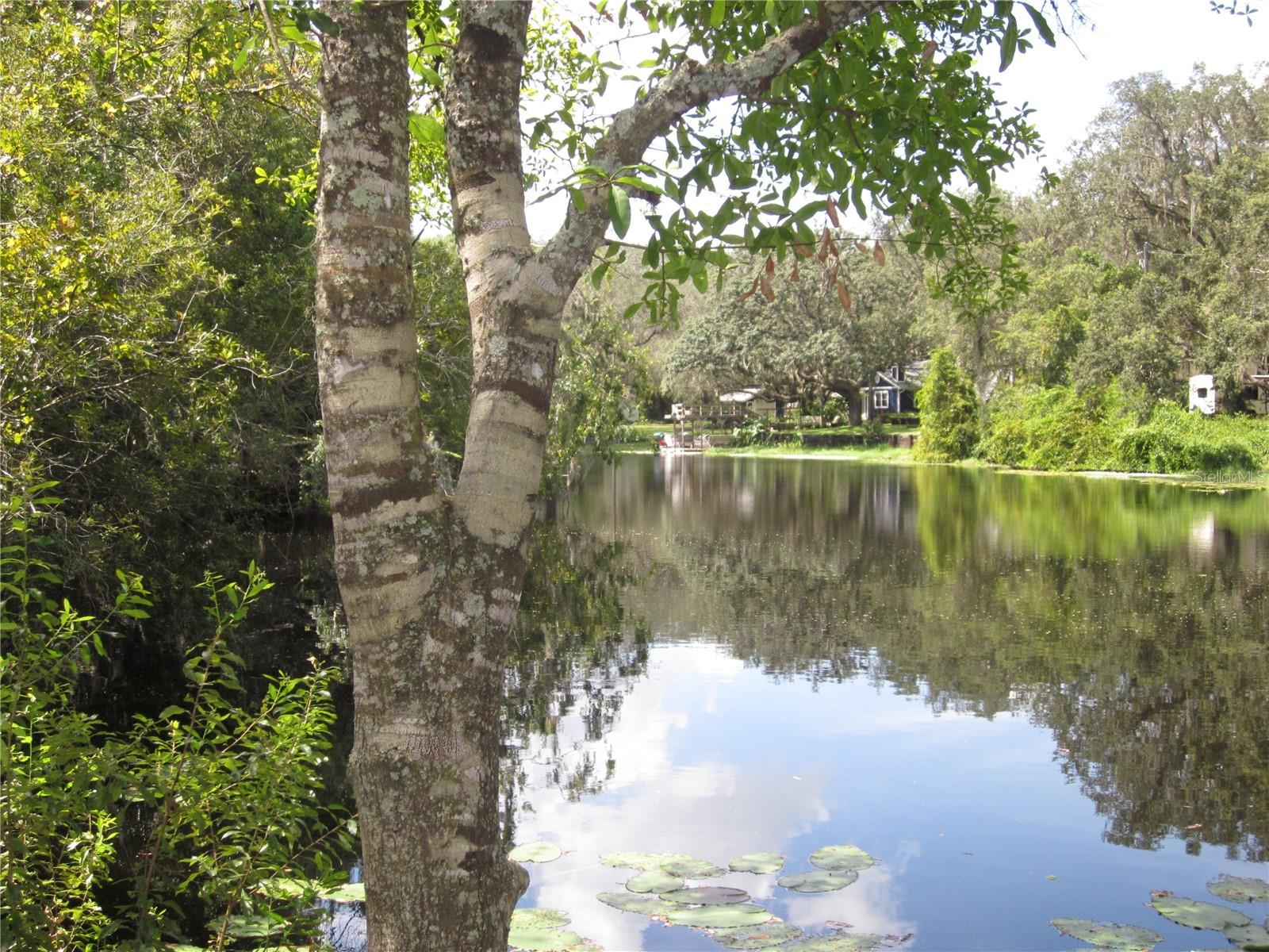 13949 FRIENDSHIP LN, ODESSA, FL, 33556