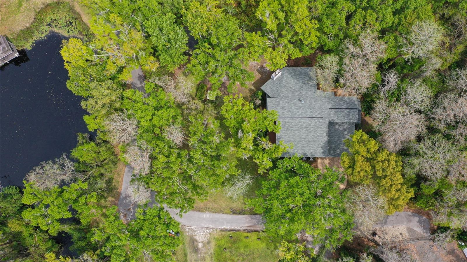 13949 FRIENDSHIP LN, ODESSA, FL, 33556