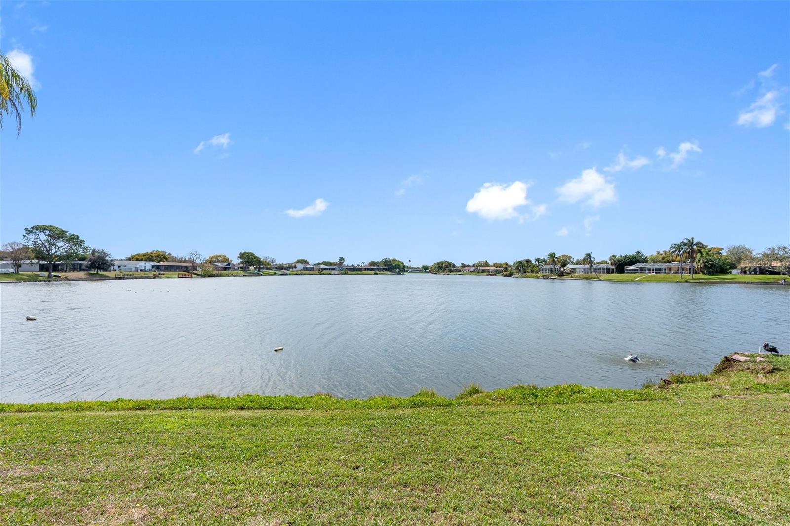 9611 TOWANDA LN, PORT RICHEY, FL, 34668