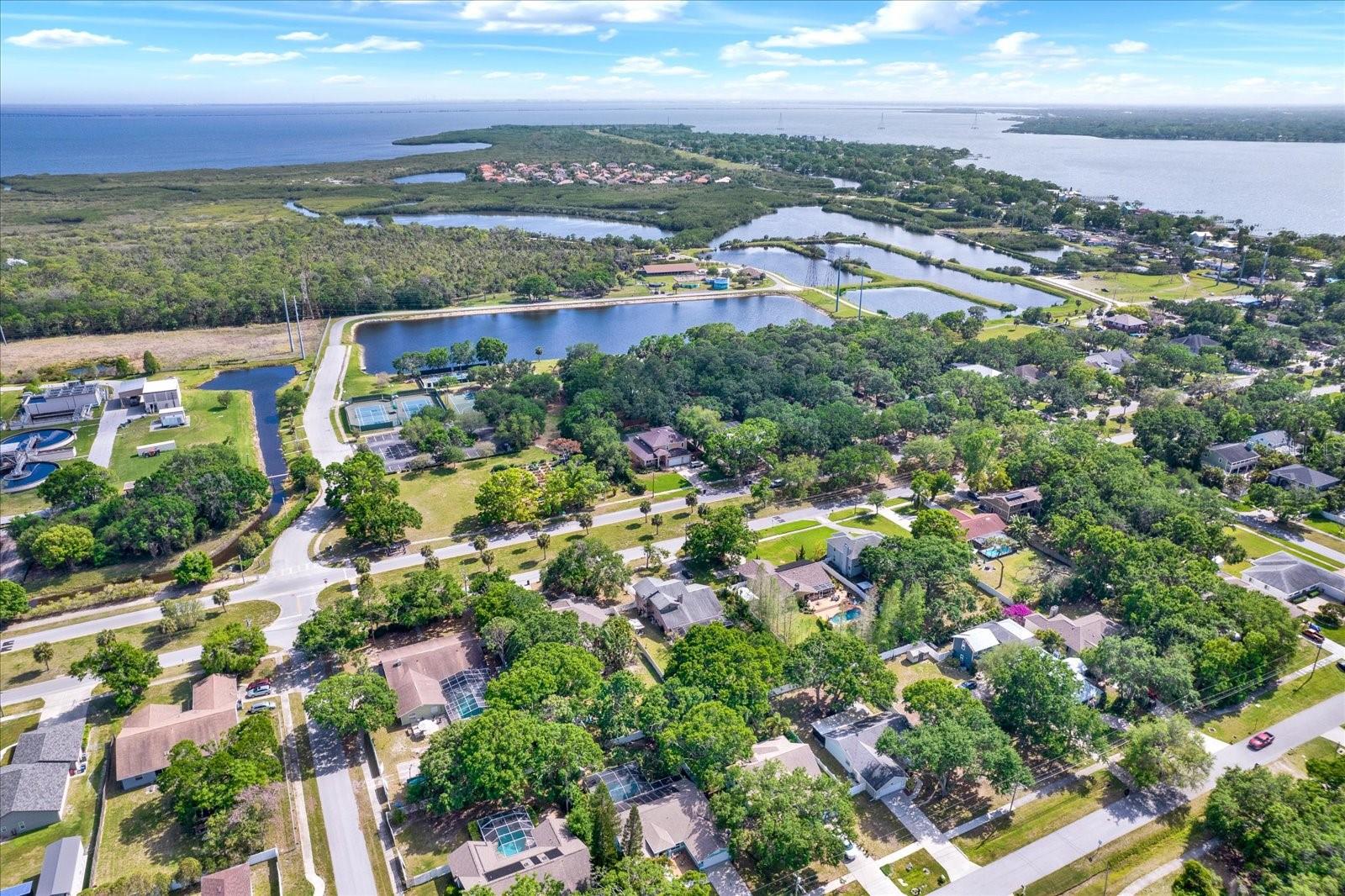 416 ARLINGTON AVE E, OLDSMAR, FL, 34677
