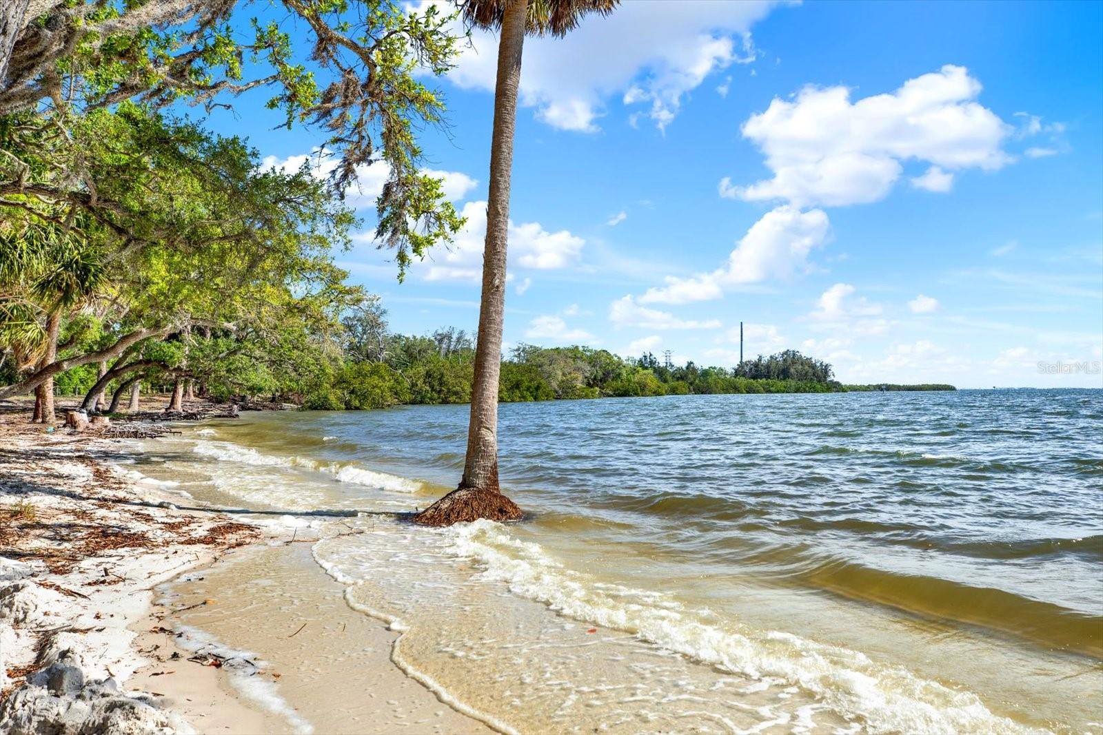 416 ARLINGTON AVE E, OLDSMAR, FL, 34677