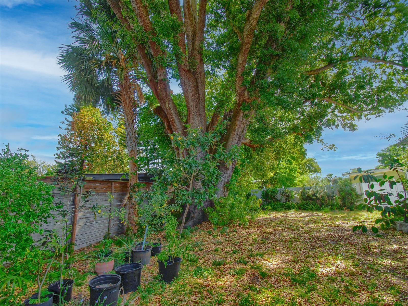 2639 BETTY ST, ORLANDO, FL, 32803