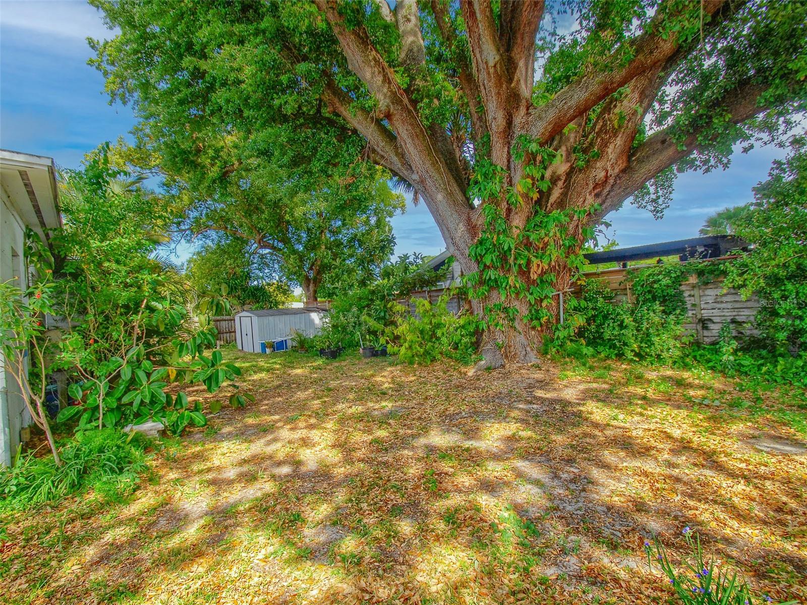 2639 BETTY ST, ORLANDO, FL, 32803