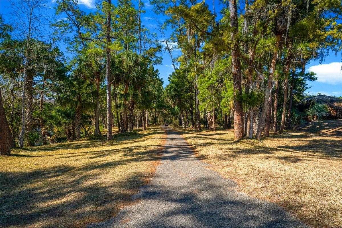 3041 NE 104TH AVE, SILVER SPRINGS, FL, 34488