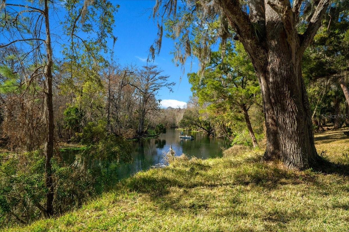 3041 NE 104TH AVE, SILVER SPRINGS, FL, 34488