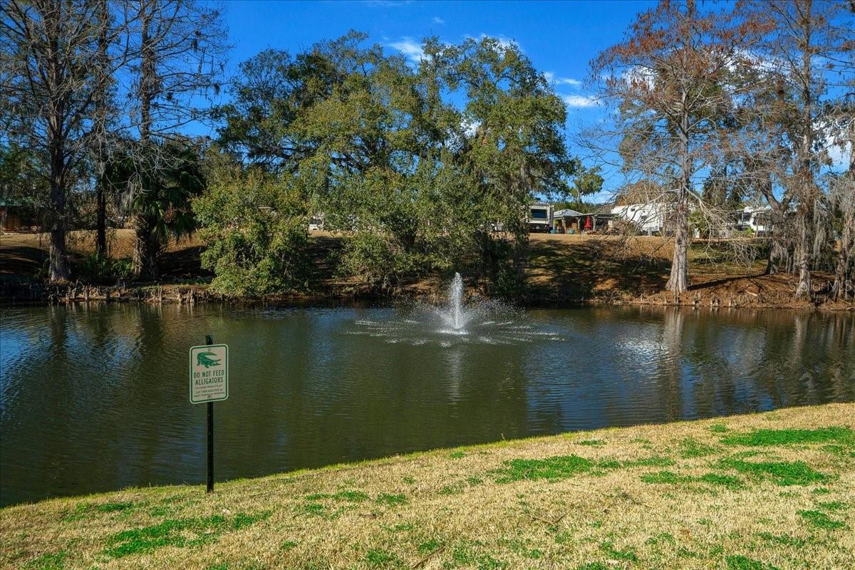 3041 NE 104TH AVE, SILVER SPRINGS, FL, 34488