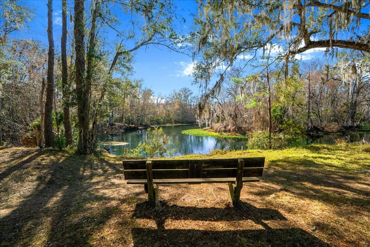 3041 NE 104TH AVE, SILVER SPRINGS, FL, 34488