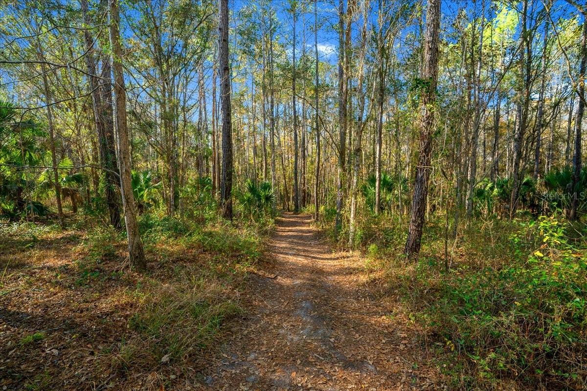 3041 NE 104TH AVE, SILVER SPRINGS, FL, 34488