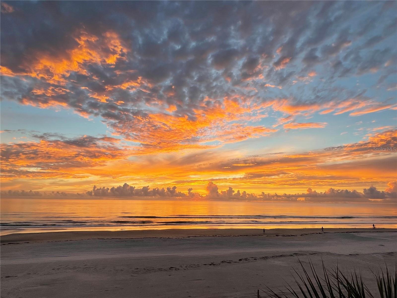 3001 S ATLANTIC AVE #422, NEW SMYRNA BEACH, FL, 32169