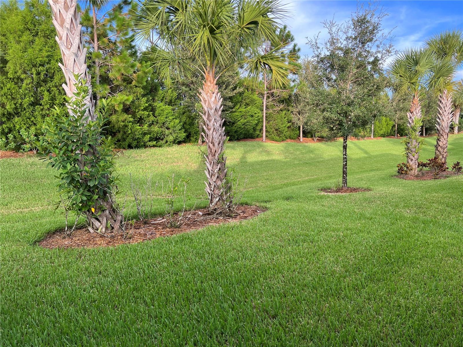 17133 KENTON TER, BRADENTON, FL, 34202