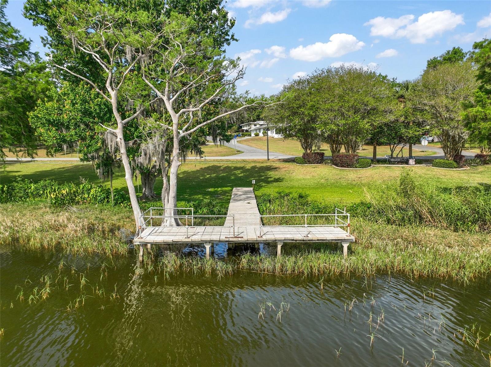 137 E PALMETTO AVE, HOWEY IN THE HILLS, FL, 34737