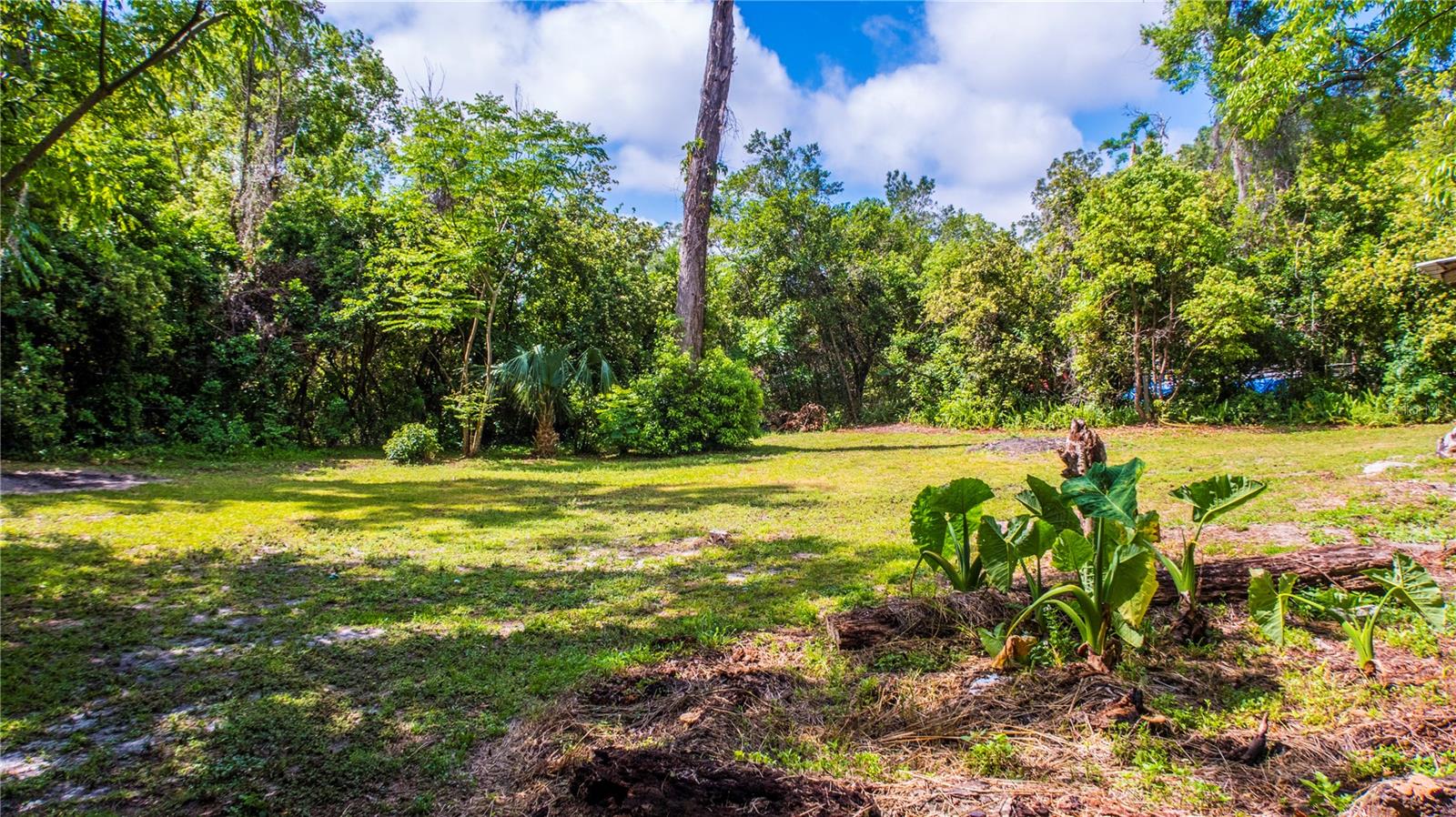 438 W KELLY PARK RD, APOPKA, FL, 32712