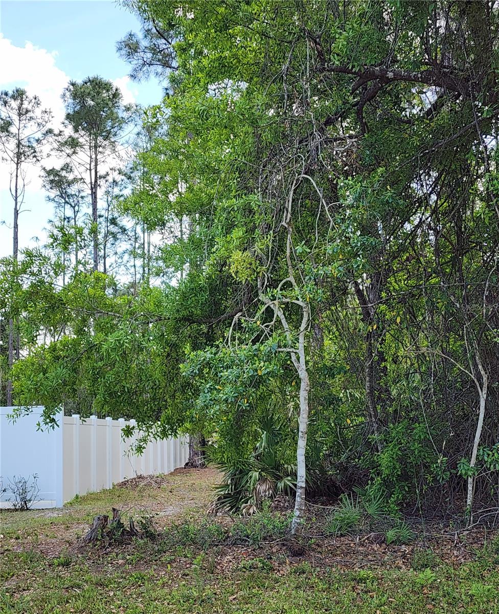 19 RYMER LN, PALM COAST, FL, 32164