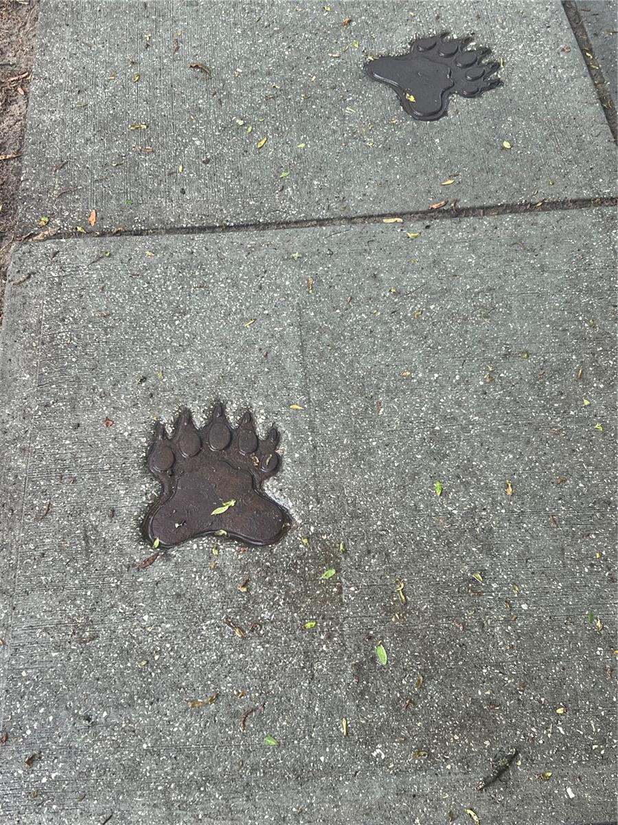 9054 S TARA PT, FLORAL CITY, FL, 34436