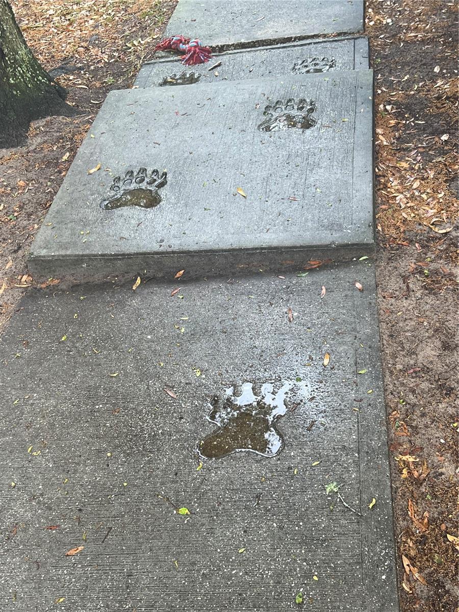 9054 S TARA PT, FLORAL CITY, FL, 34436