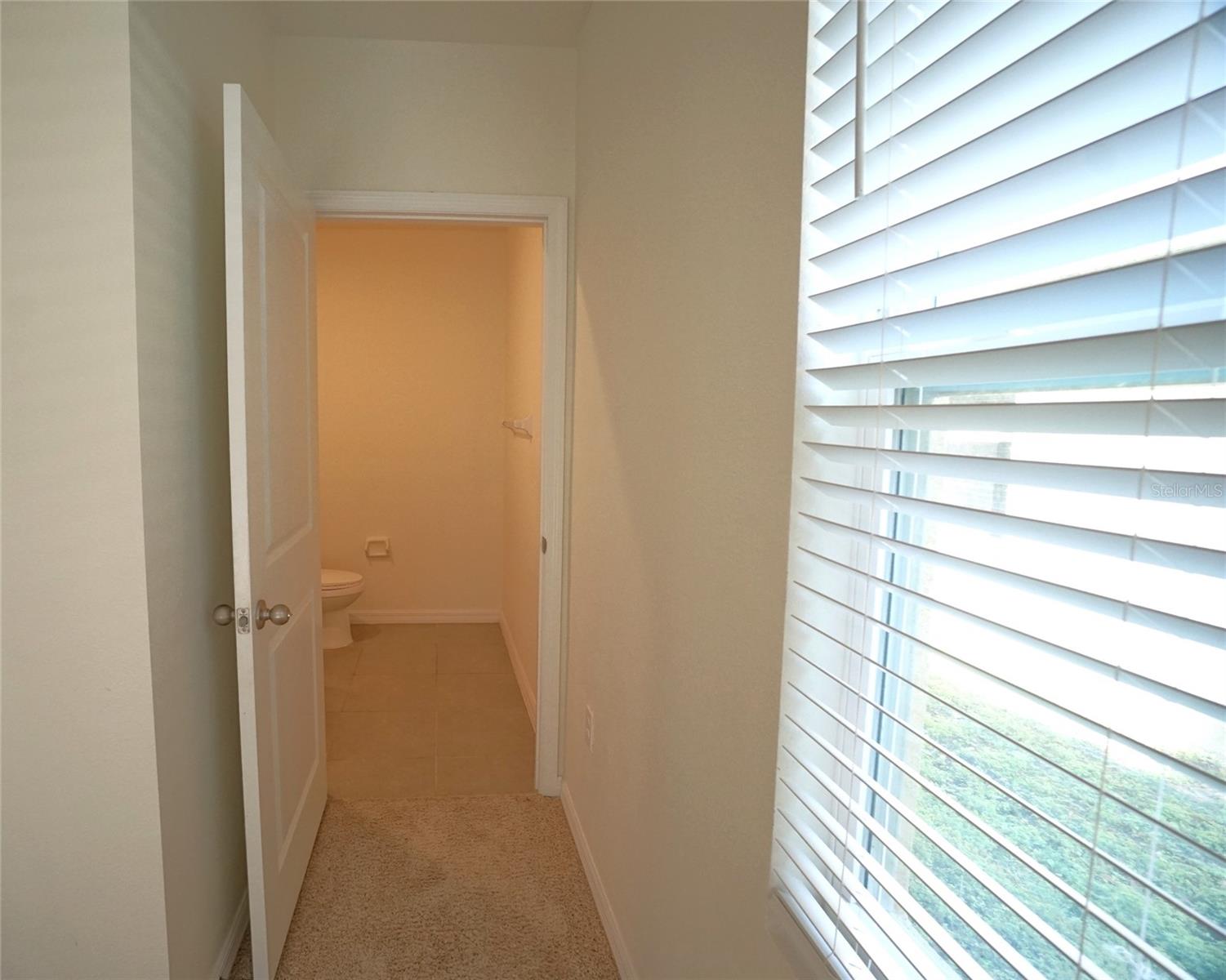 10928 CARLTON FIELDS DR, RIVERVIEW, FL, 33579